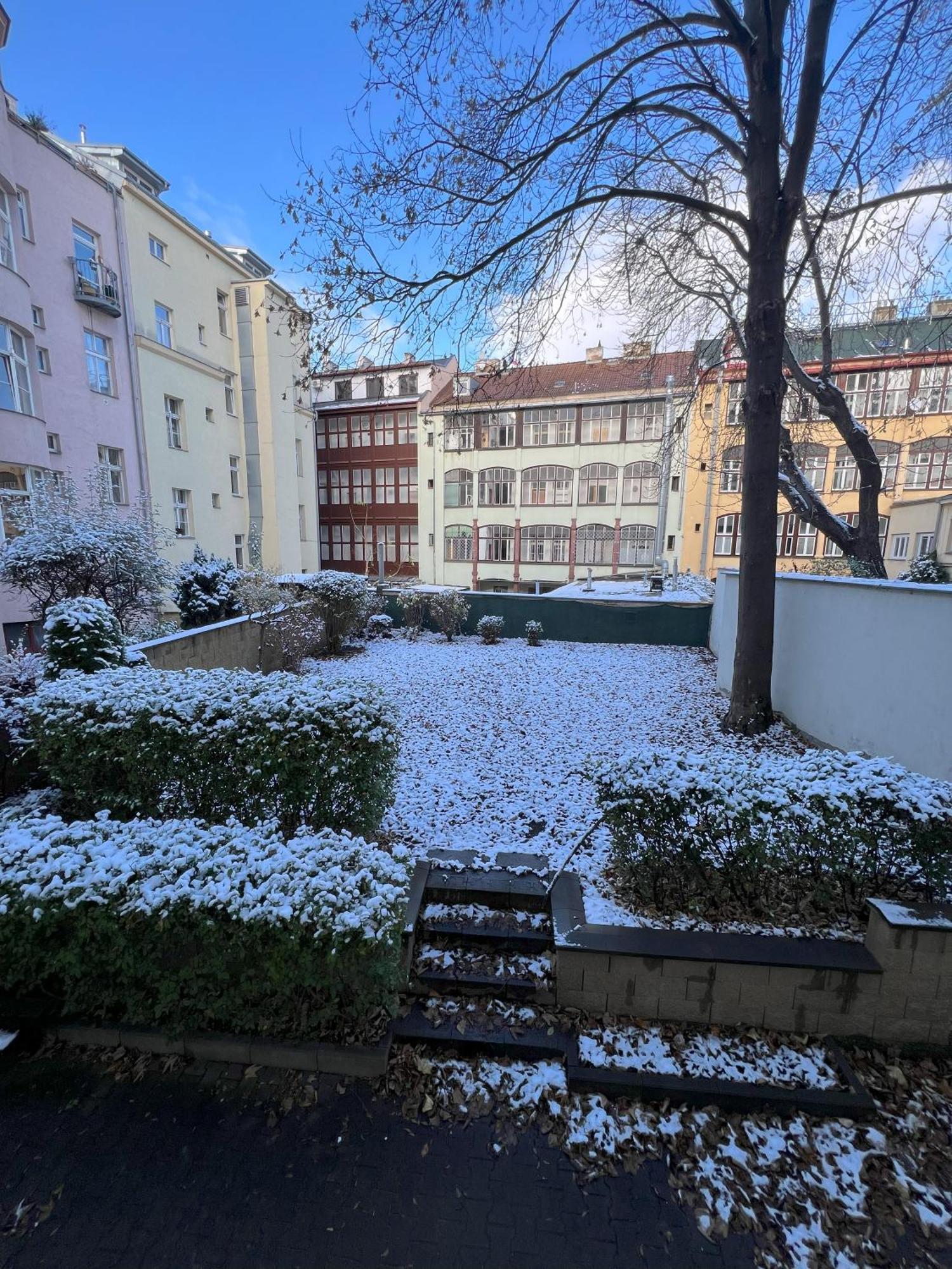 Cozy Garden Apartment In The Heart Of Prag Dış mekan fotoğraf